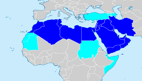 Middle East and North Africa Region (MENA Region)